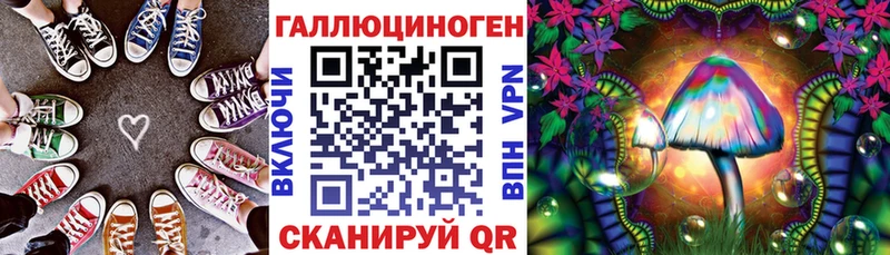 Псилоцибиновые грибы Psilocybe  сколько стоит  Петров Вал 