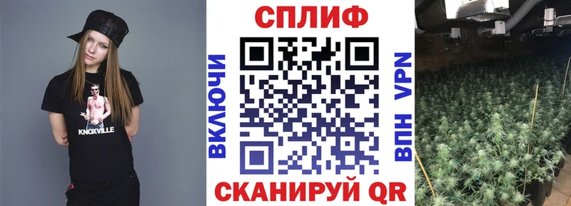 купить наркотик  Петров Вал  МАРИХУАНА THC 21% 